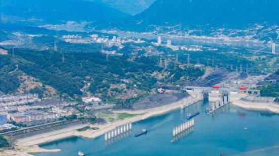 Yangtze River sees recovery in aquatic biodiversity